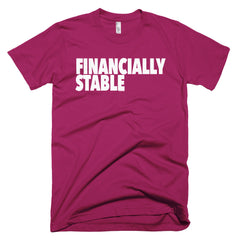 "Financially Stable" Men's Rasberry T-Shirt By Disposable Income Clothing... Made for Money, by Money. www.lukeandlynn.com