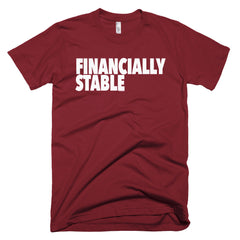 "Financially Stable" Men's Cranberry T-Shirt By Disposable Income Clothing... Made for Money, by Money. www.lukeandlynn.com